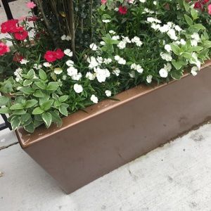 Meet your Posher, Pamela